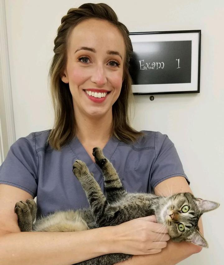 Veterinarians in Indianapolis Cat Veterinarians